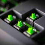 razer-blackwidow-desc2.jpg